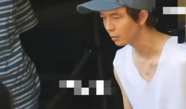 娱乐圈吃瓜爆料程潇,娱乐圈风云变幻中的璀璨星辉